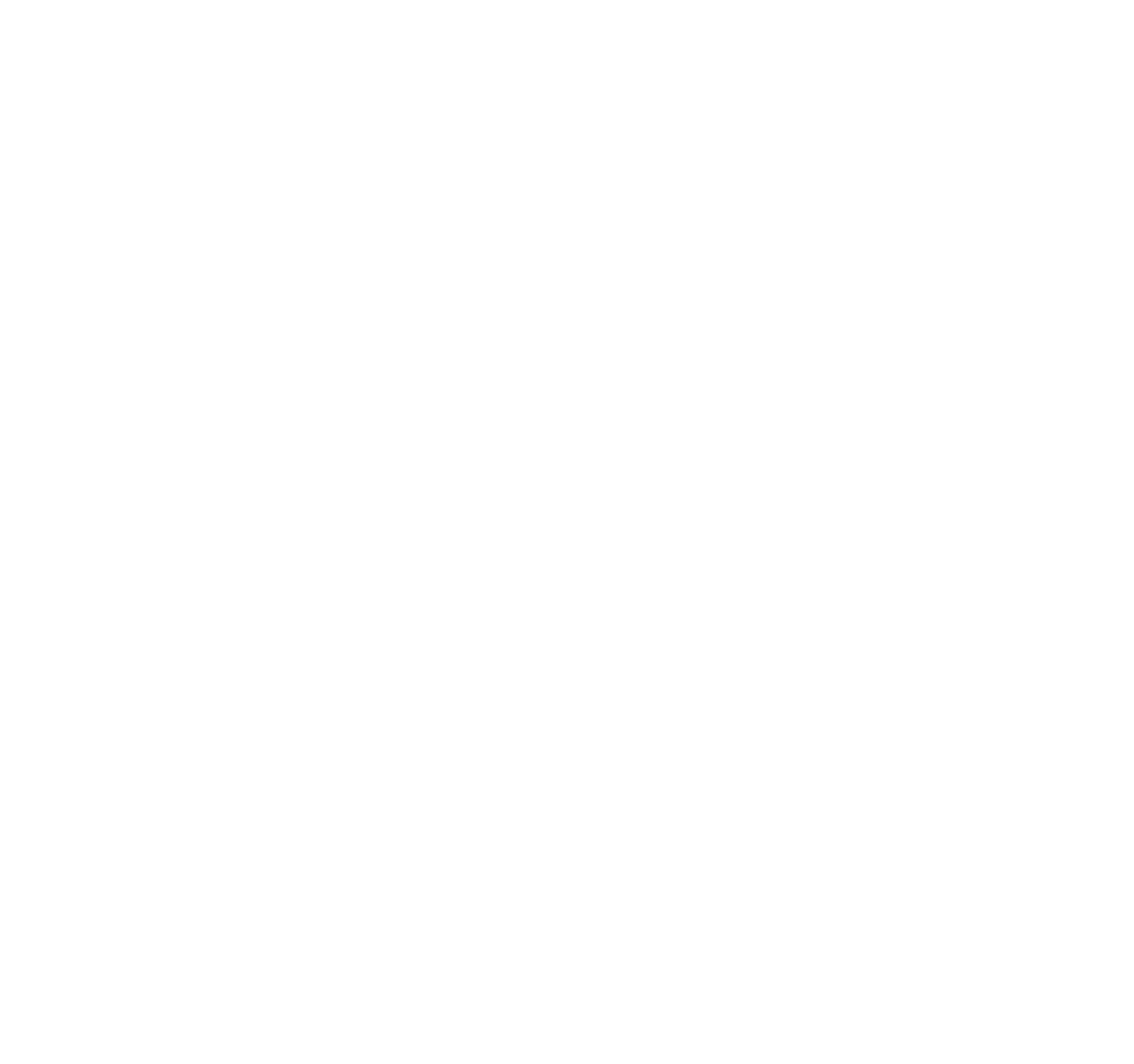 Christensen Institute logo (white)