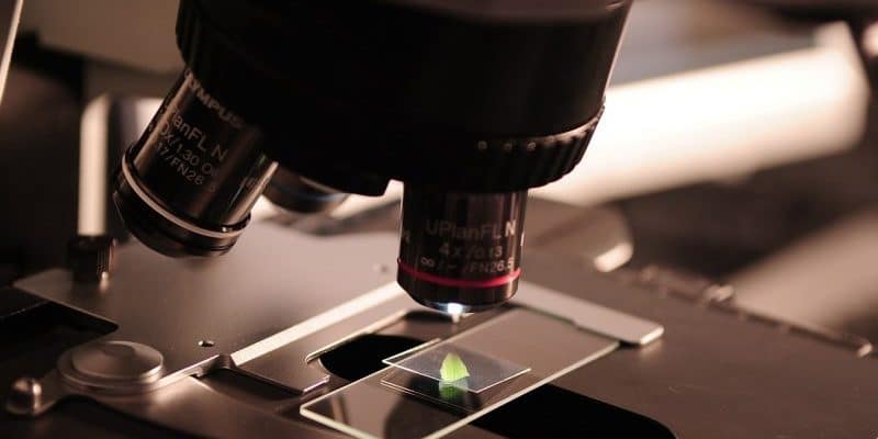 precision medicine microscope