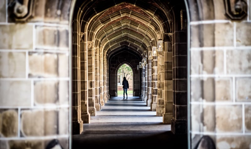 higher education disruption