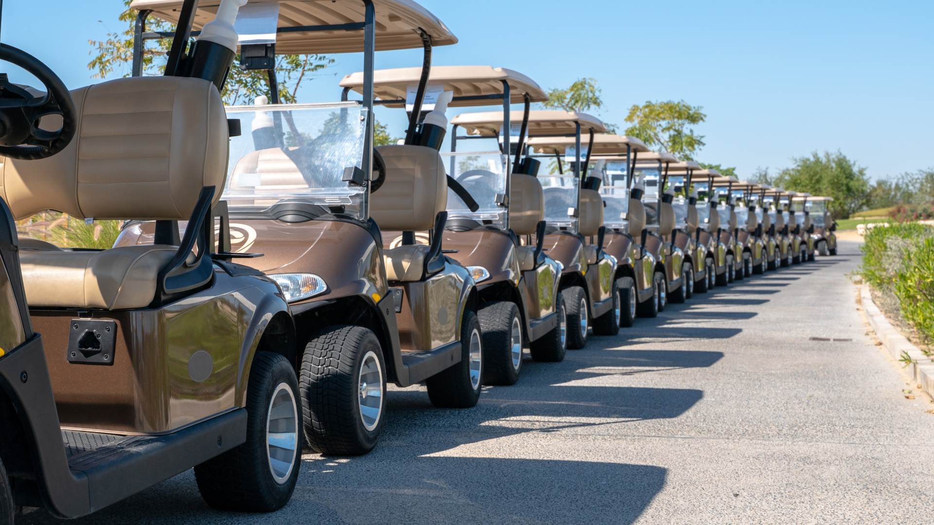 electric golf cart