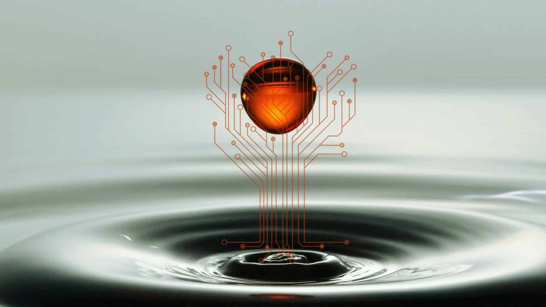 AI and humanity's future