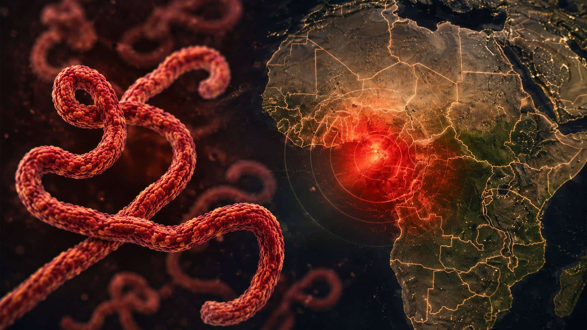 The WHO and Ebola